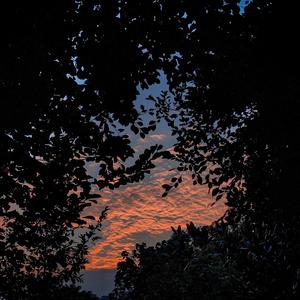 男生和女生吊鸡北
