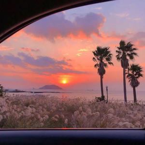 性欧美❌❌潮喷孕妇吞精
