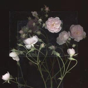 看一下男女性生活片
